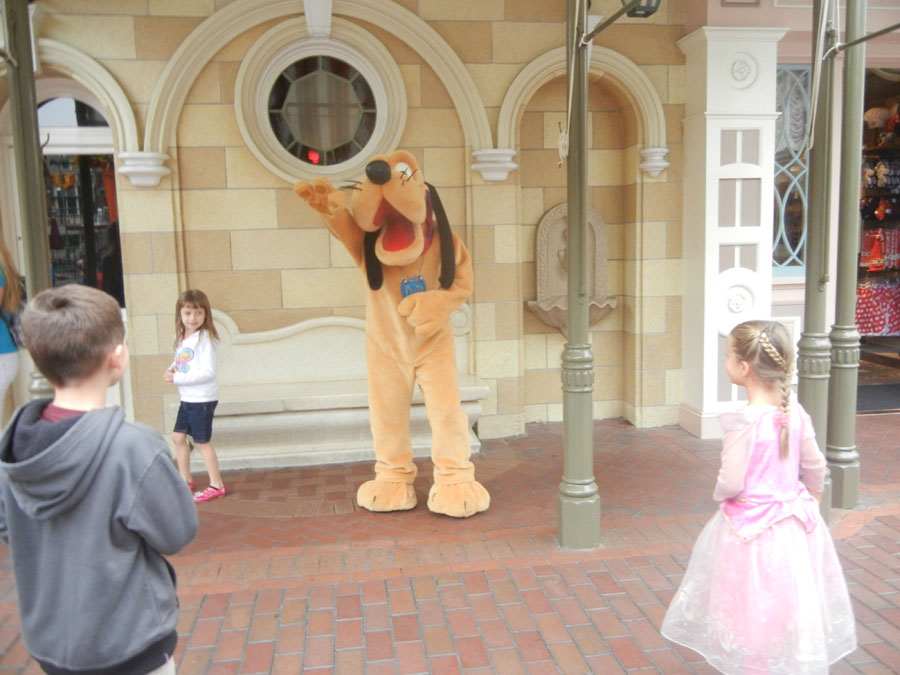 Disneyland Main Street Circle Picture